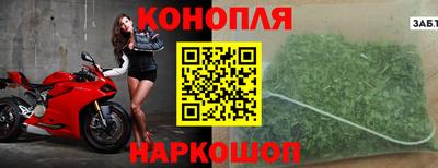 молекула духа Пенза